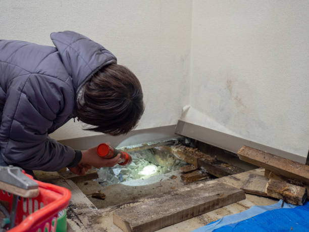 Best Post-Remediation Verification Testing  in Kalaheo, HI