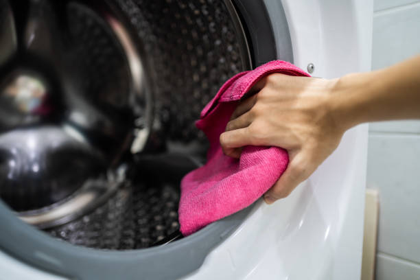  Kalaheo, HI Mold Removal Pros