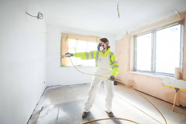 Best Mold Odor Removal Services  in Kalaheo, HI