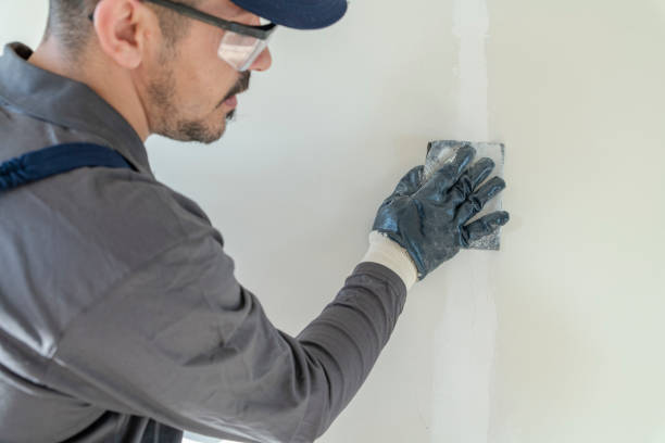 Best Industrial Mold Remediation  in Kalaheo, HI