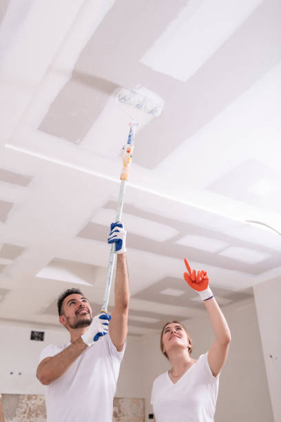 Best Biohazard Mold Removal  in Kalaheo, HI