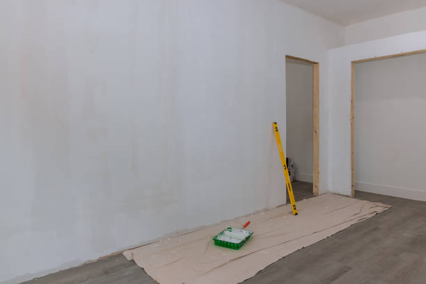 Best Post-Construction Mold Inspection  in Kalaheo, HI