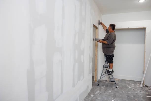 Best Mold Prevention Services  in Kalaheo, HI