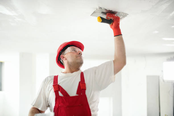 Best Comprehensive Air Testing for Mold Contaminants  in Kalaheo, HI