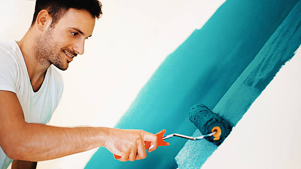 Best Crawl Space Mold Remediation  in Kalaheo, HI