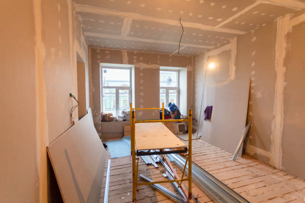 Best Residential Mold Inspection & Testing  in Kalaheo, HI