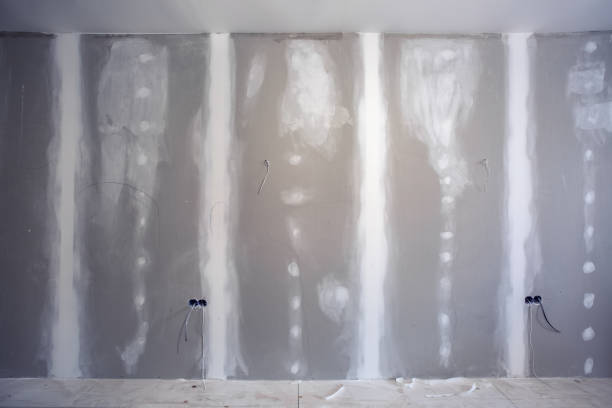 Best Comprehensive Air Testing for Mold Contaminants  in Kalaheo, HI