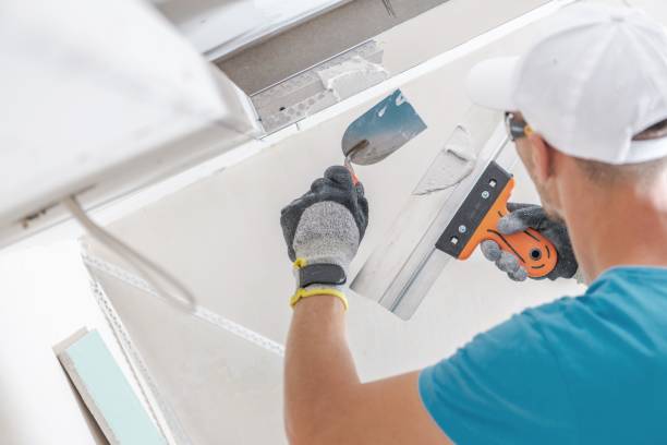 Best Post-Construction Mold Inspection  in Kalaheo, HI